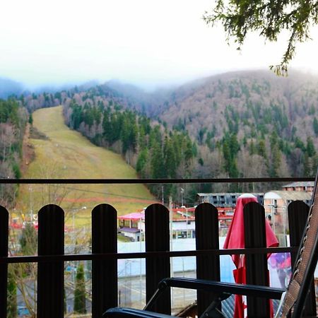 Pensiunea Elemar Азуга Екстер'єр фото